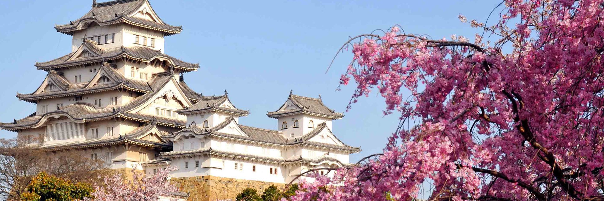 Туры в Японию 2023, путевки из Москвы - цены на отдых в Японии - ПАКС